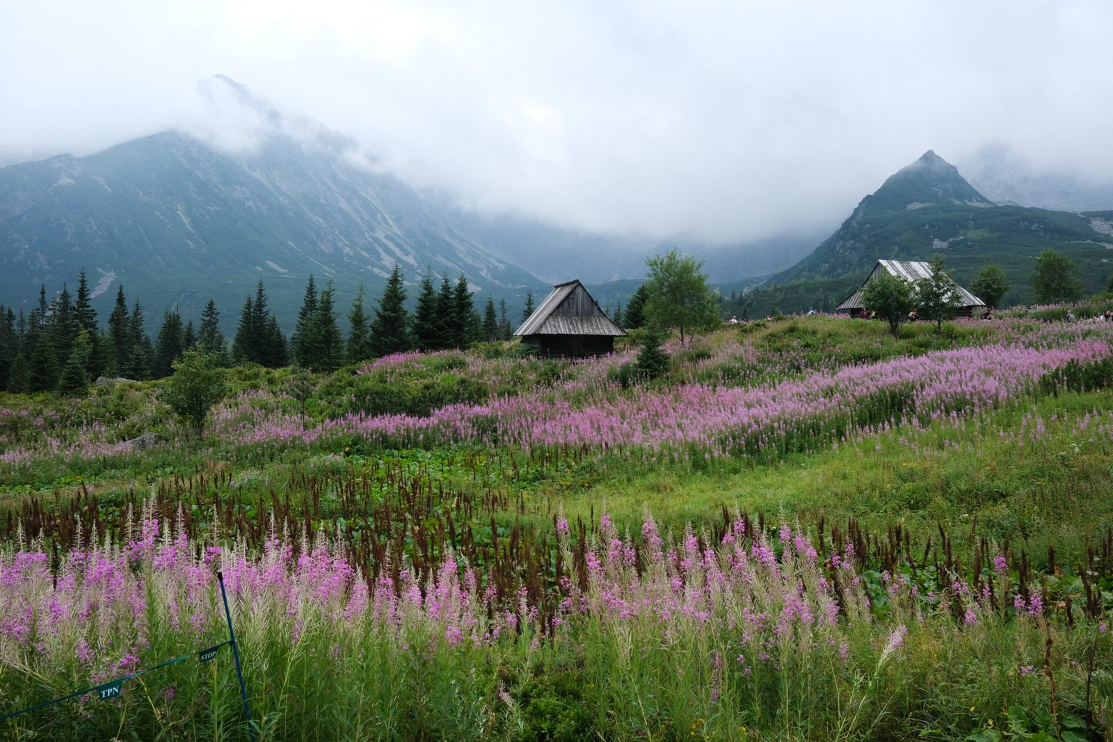 Trip to Zakopane